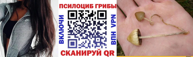 Купить  Североморск  Галлюциногенные грибы мицелий 